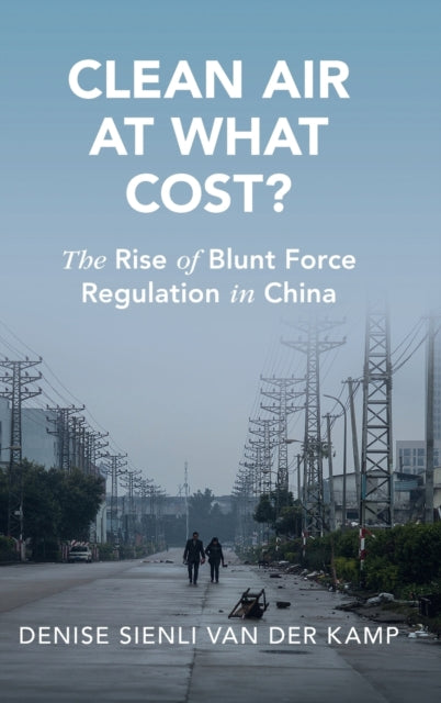 Clean Air at What Cost?: The Rise of Blunt Force Regulation in China