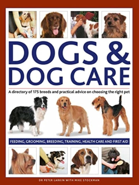 Dogs & Dog Care: A directory of 175 breeds and practical advice on choosing the right pet. Feeding, grooming, breeding, training, health care and first aid