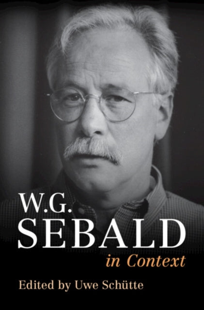 W. G. Sebald in Context