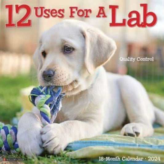 12 Uses for a Lab 2024 12 X 12 Wall Calendar
