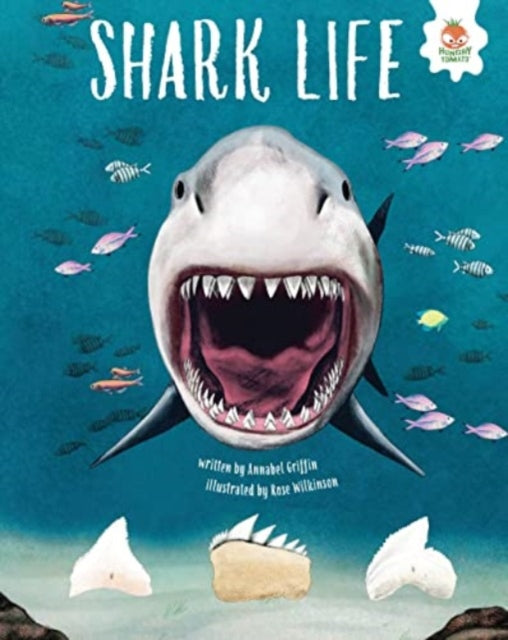 SHARK LIFE: Shark Safari      STEM