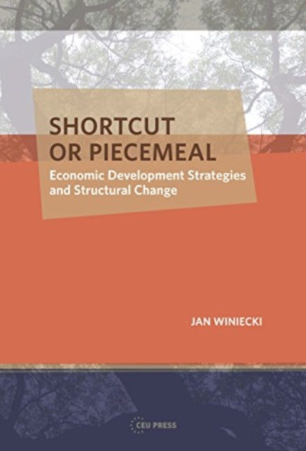 Shortcut or Piecemeal: Economic Development Strategies and Structural Change