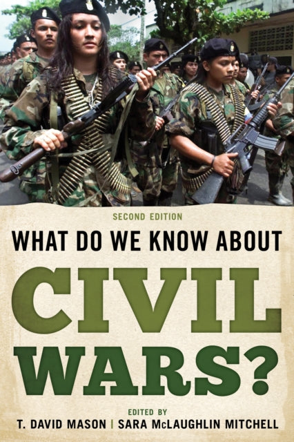 What Do We Know about Civil Wars?