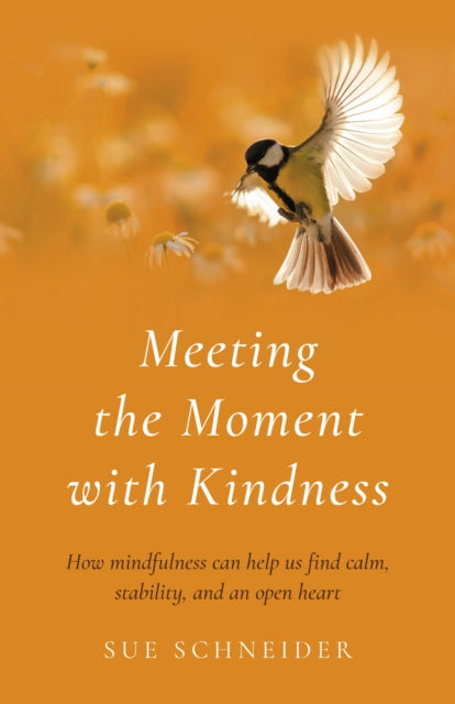 Meeting the Moment with Kindness: How mindfulness can help us find calm, stability, and an open heart