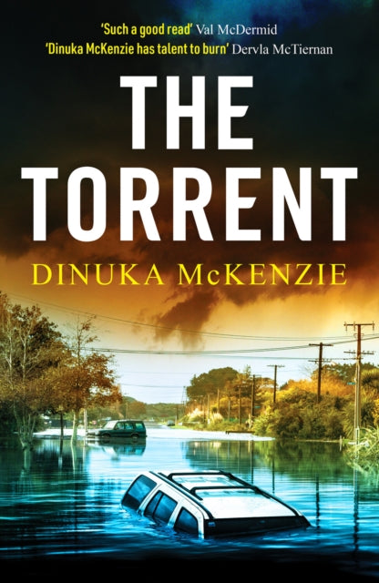 The Torrent: An unputdownable Australian crime thriller