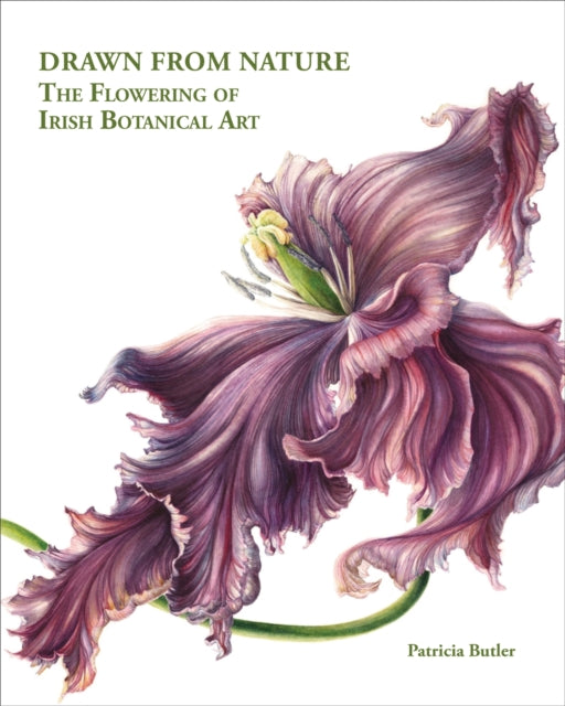 Drawn From Nature: The Flowering of Irish Botanical Art