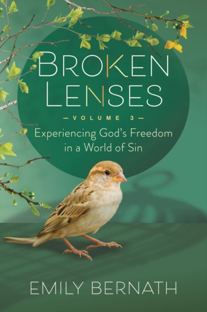 Broken Lenses, Volume 3: Experiencing God's Freedom in a World of Sin