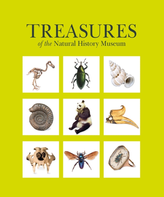 Treasures of the Natural History Museum: (Pocket edition)