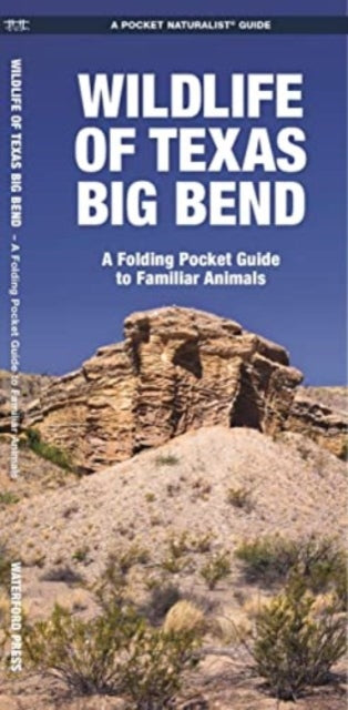 Wildlife of Texas Big Bend: A Folding Pocket Guide to Familiar Animals