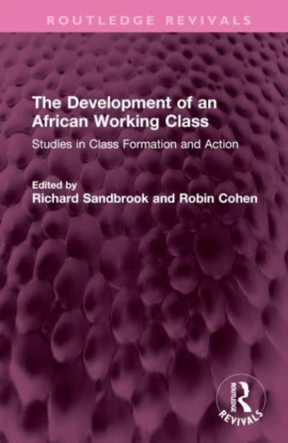 The Development of an African Working Class: Studies in Class Formation and Action