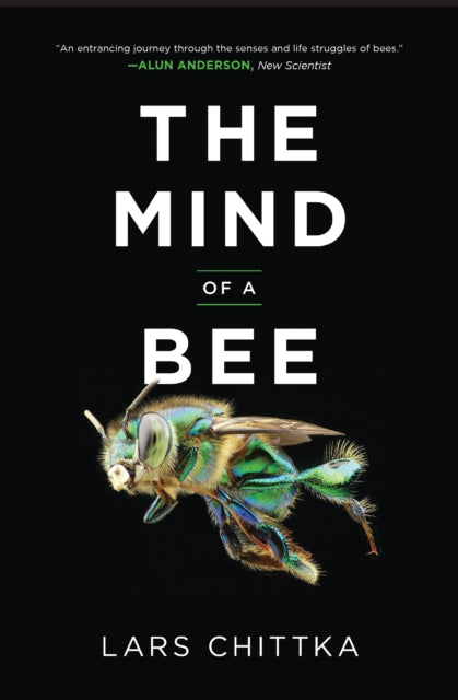 The Mind of a Bee