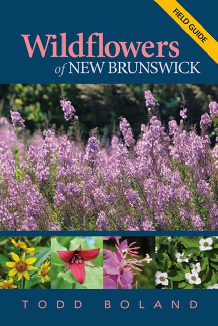 Wildflowers of New Brunswick: Field Guide