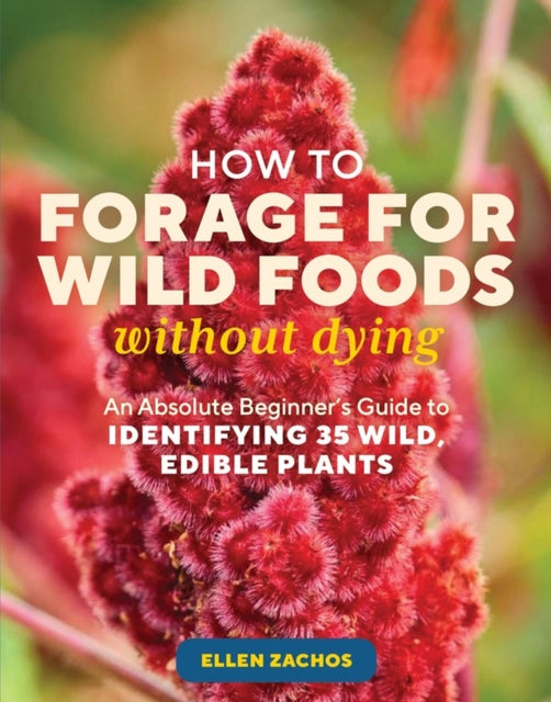 How to Forage for Wild Foods without Dying: An Absolute Beginner's Guide to Identifying 40 Edible Wild Plants