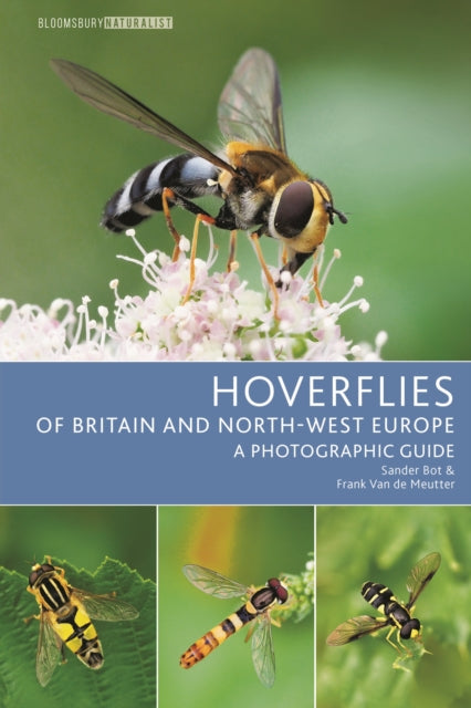 Hoverflies of Britain and North-west Europe: A photographic guide