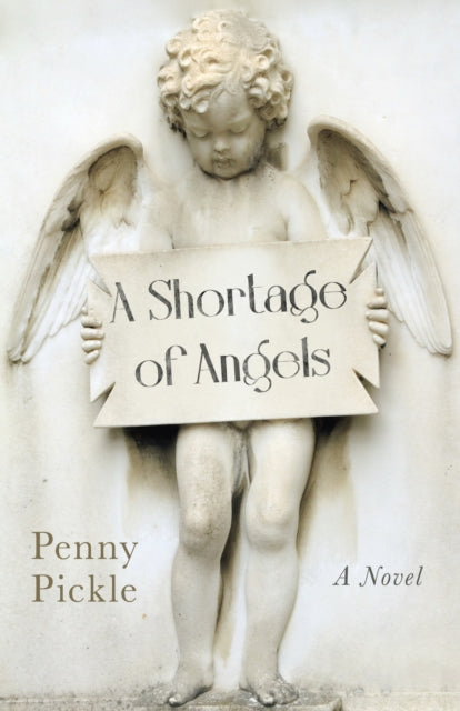 Shortage of Angels, A: A Novel