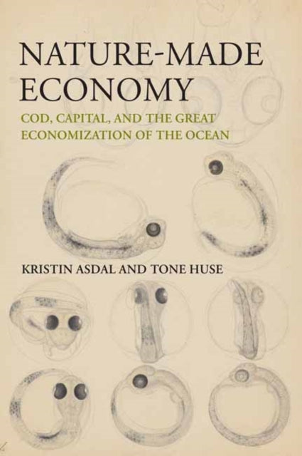 Nature-Made Economy: Cod, Capital, and the Great Economization of the Ocean