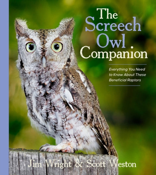 The Screech Owl Companion: Everything You Need to Know about These Beneficial Raptors