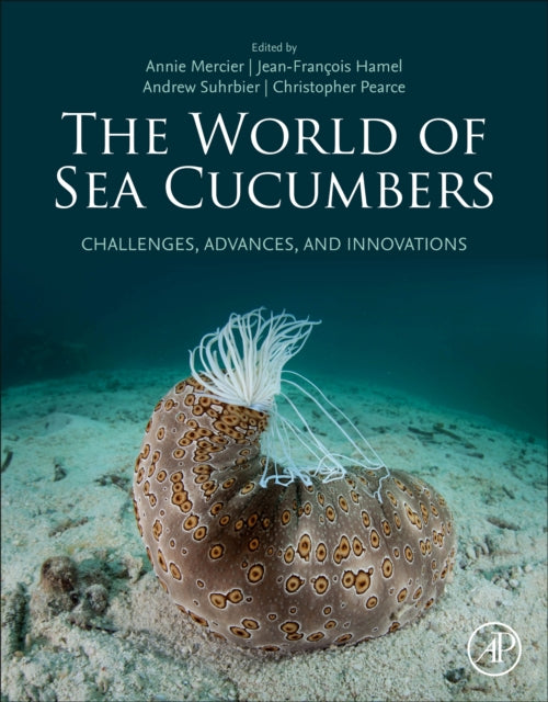 The World of Sea Cucumbers: Challenges, Advances, and Innovations