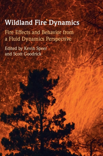 Wildland Fire Dynamics