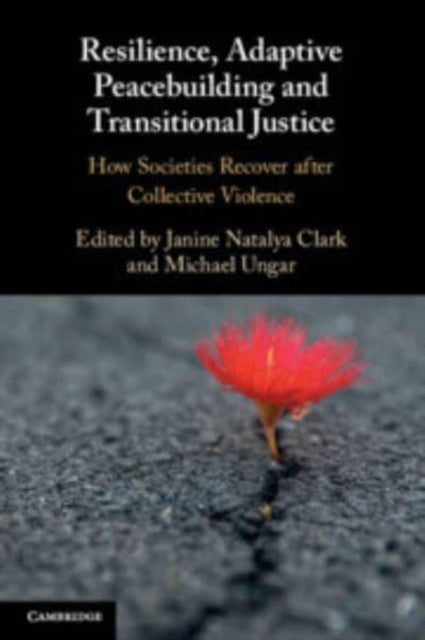 Resilience, Adaptive Peacebuilding and Transitional Justice: How Societies Recover after Collective Violence