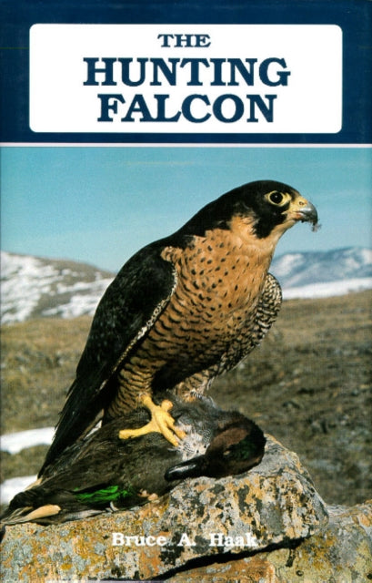 Hunting Falcon