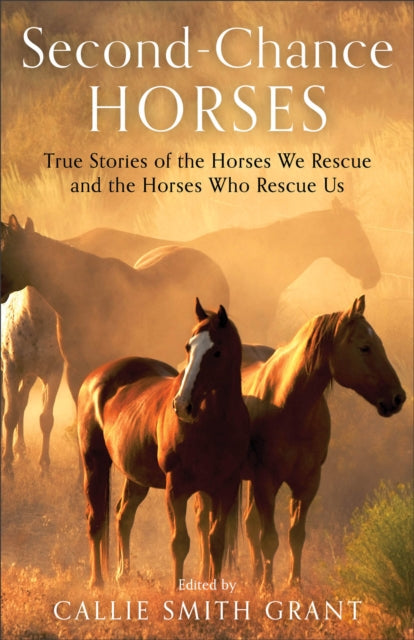 Second-Chance Horses - True Stories of the Horses We Rescue and the Horses Who Rescue Us