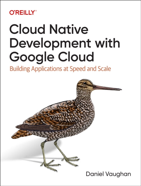 Programming Cloud Native Applications with Google Cloud: Building Applications for Innovation and Scale