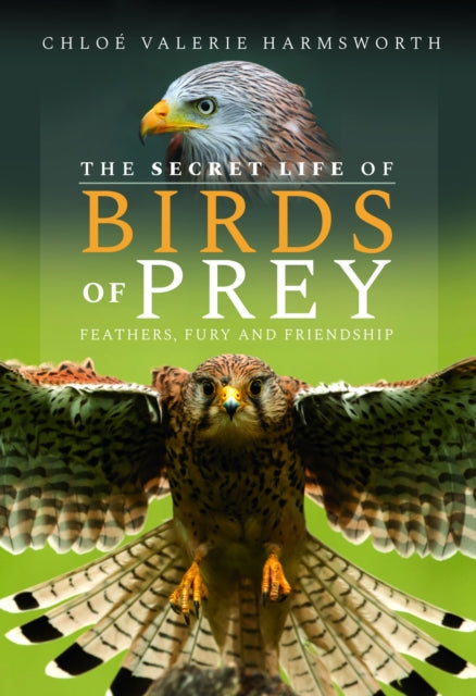 The Secret Life of Birds of Prey: Feathers, Fury and Friendship