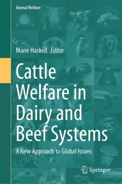 Cattle Welfare in Dairy and Beef Systems: A New Approach to Global Issues