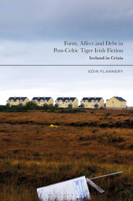 Form, Affect and Debt in Post-Celtic Tiger Irish Fiction: Ireland in Crisis