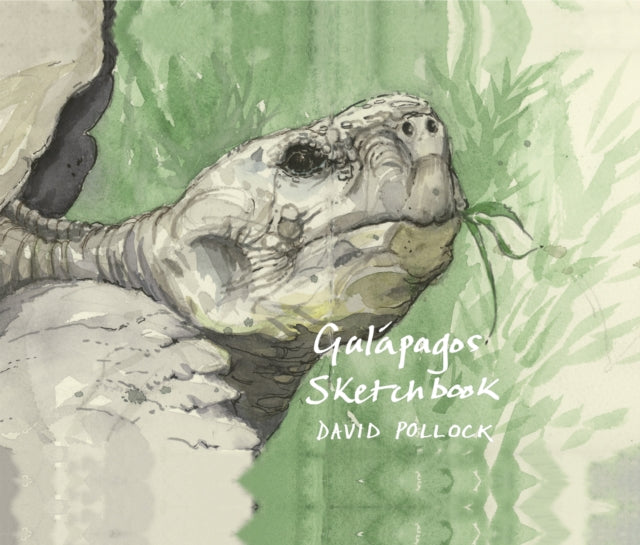 A Galapagos Sketchbook