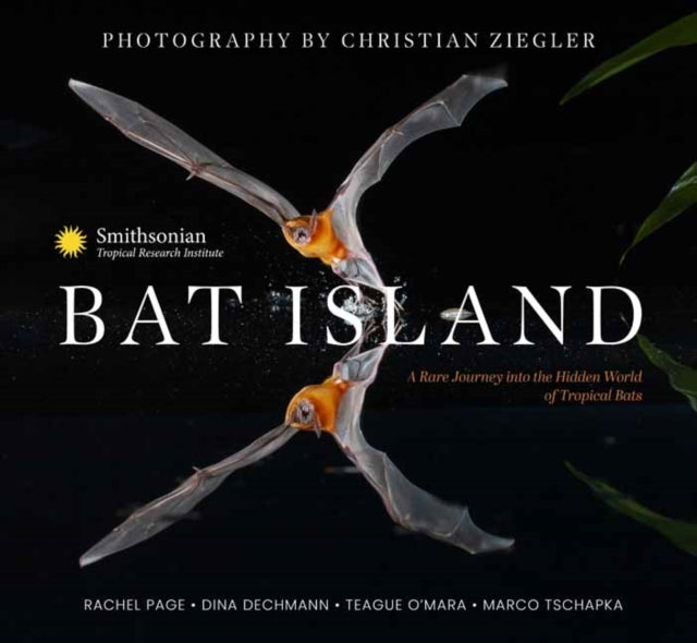 Bat Island: A Rare Journey into the Hidden World of Tropical Bats