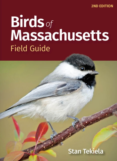 Birds of Massachusetts Field Guide