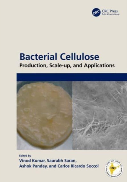 Bacterial Cellulose: Production, Scale-up, and Applications