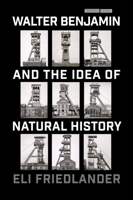 Walter Benjamin and the Idea of Natural History