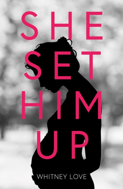 She Set Him Up: The Untold Story of a Single Mother