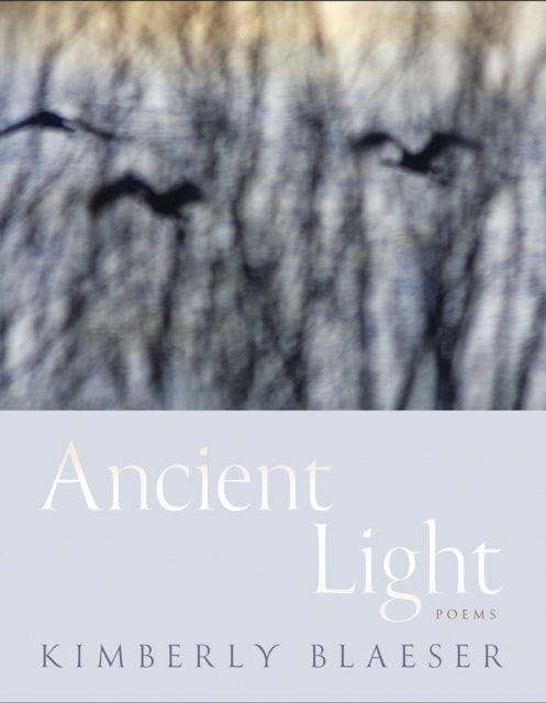 Ancient Light: Poems