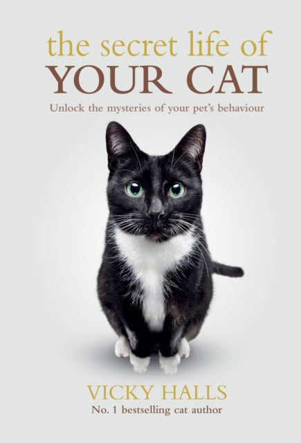 The Secret Life Of Your Cat