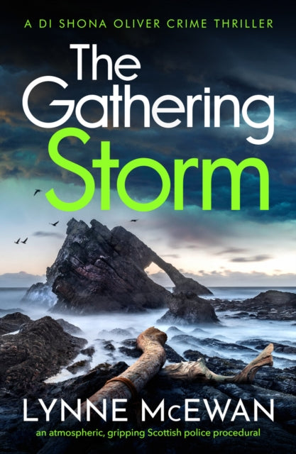 The Gathering Storm: An atmospheric, gripping Scottish police procedural