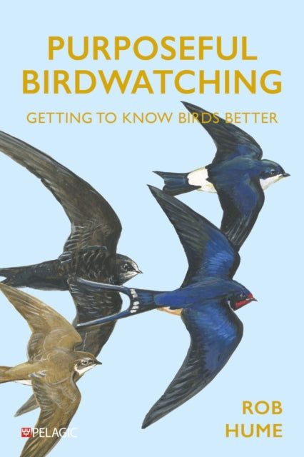 Purposeful Birdwatching: Getting to Know Birds Better