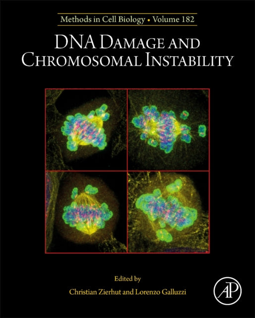 DNA Damage and Chromosomal Instability