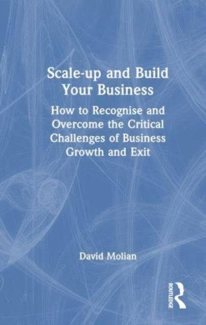 Scale-up and Build Your Business: How to Recognise and Overcome the Critical Challenges of Business Growth and Exit