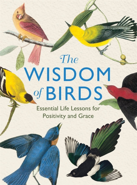 The Wisdom of Birds: Essential Life Lessons for Positivity and Grace