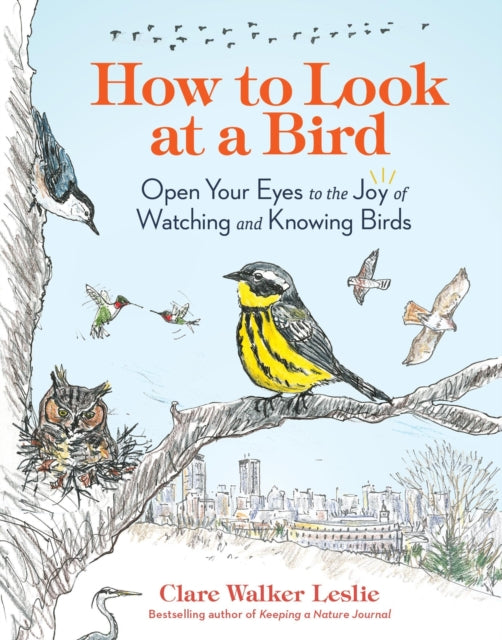 How to Look at a Bird: Open Your Eyes to the Joy of Watching and Knowing Birds