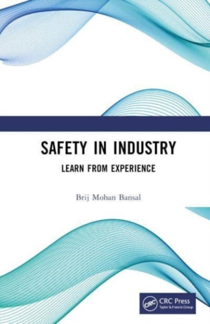 Safety in Industry: Learn from Experience