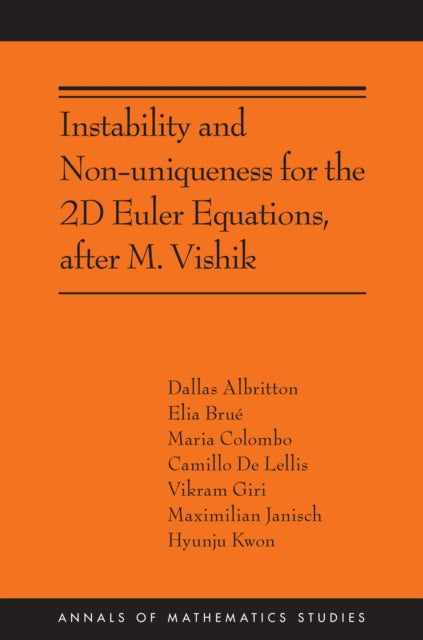 Instability and Non-uniqueness for the 2D Euler Equations, after M. Vishik: (AMS-219)