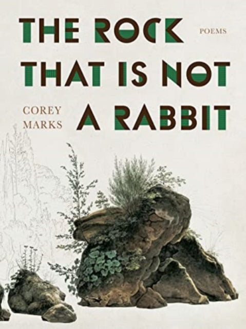 The Rock That is Not a Rabbit: Poems