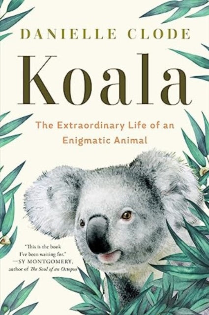 Koala: The Extraordinary Life of an Enigmatic Animal