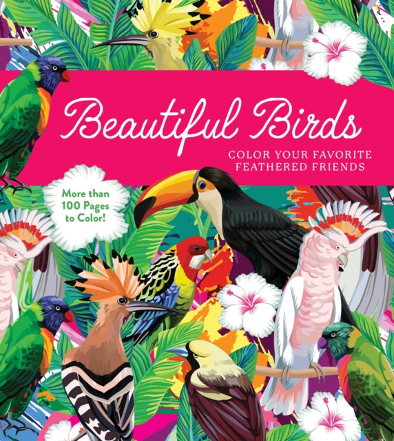 Beautiful Birds: Color Your Favorite Feathered Friends - More than 100 Pages to Color!