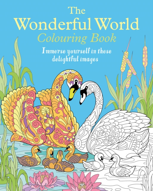The Wonderful World Colouring Book: Immerse yourself in these delightful images